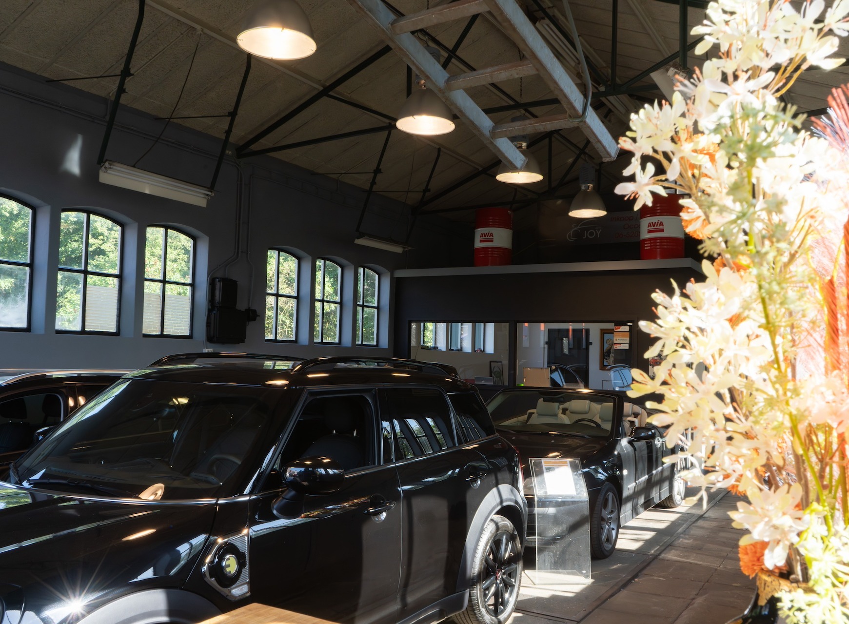 Common Image dinesten_images_1783084104.jpg Financiering/lease | Auto JOY